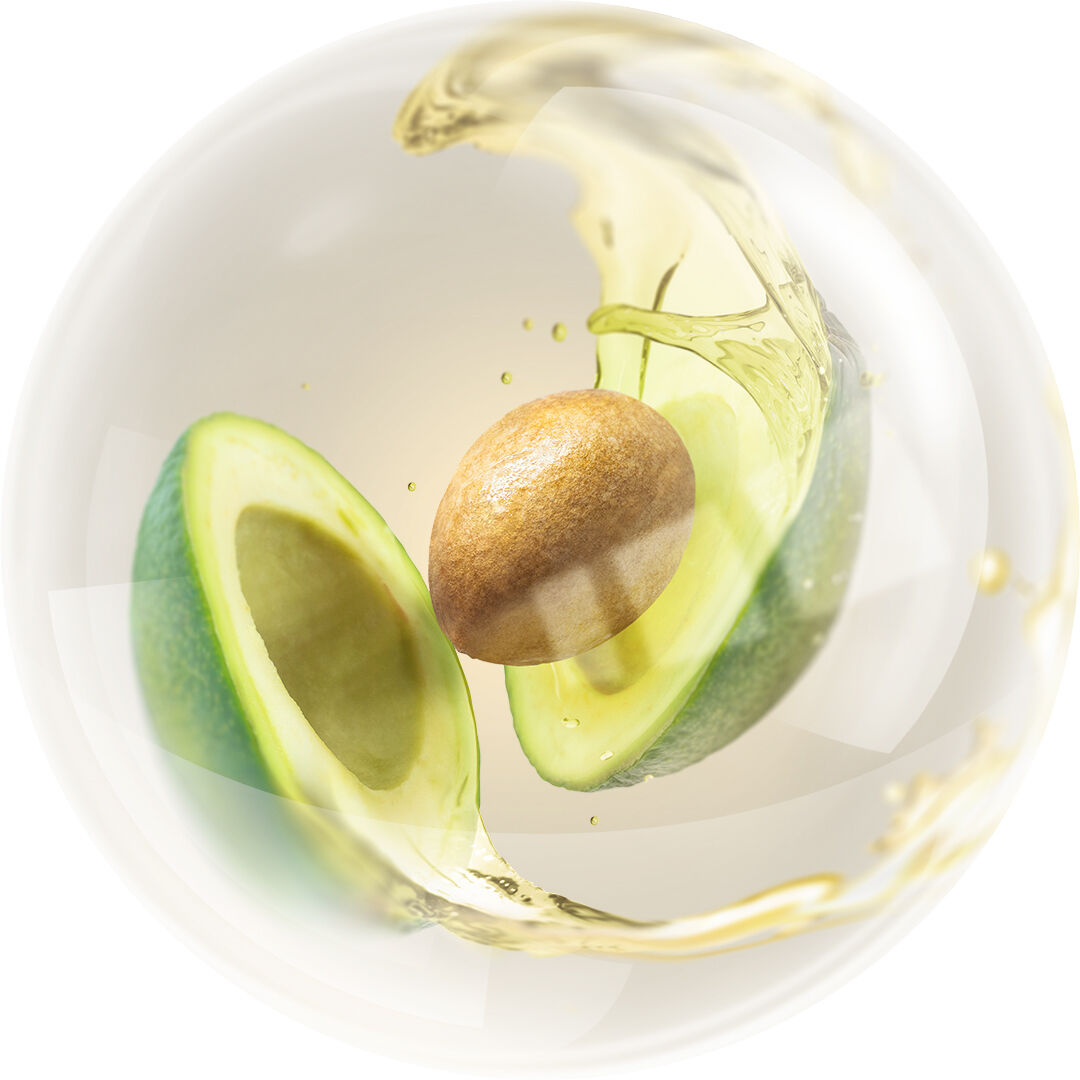 avacado.png
