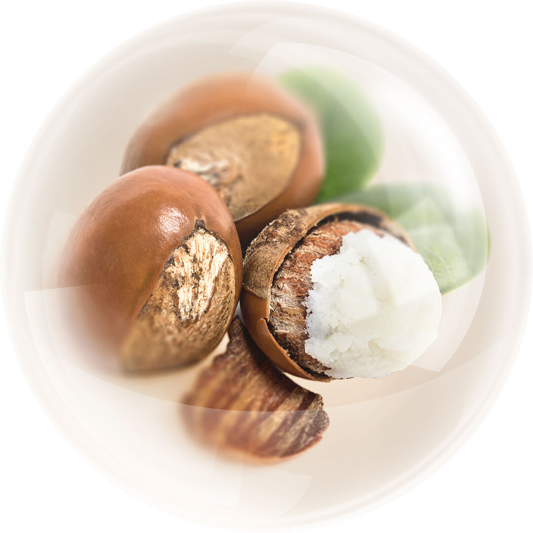 Shea Butter.png
