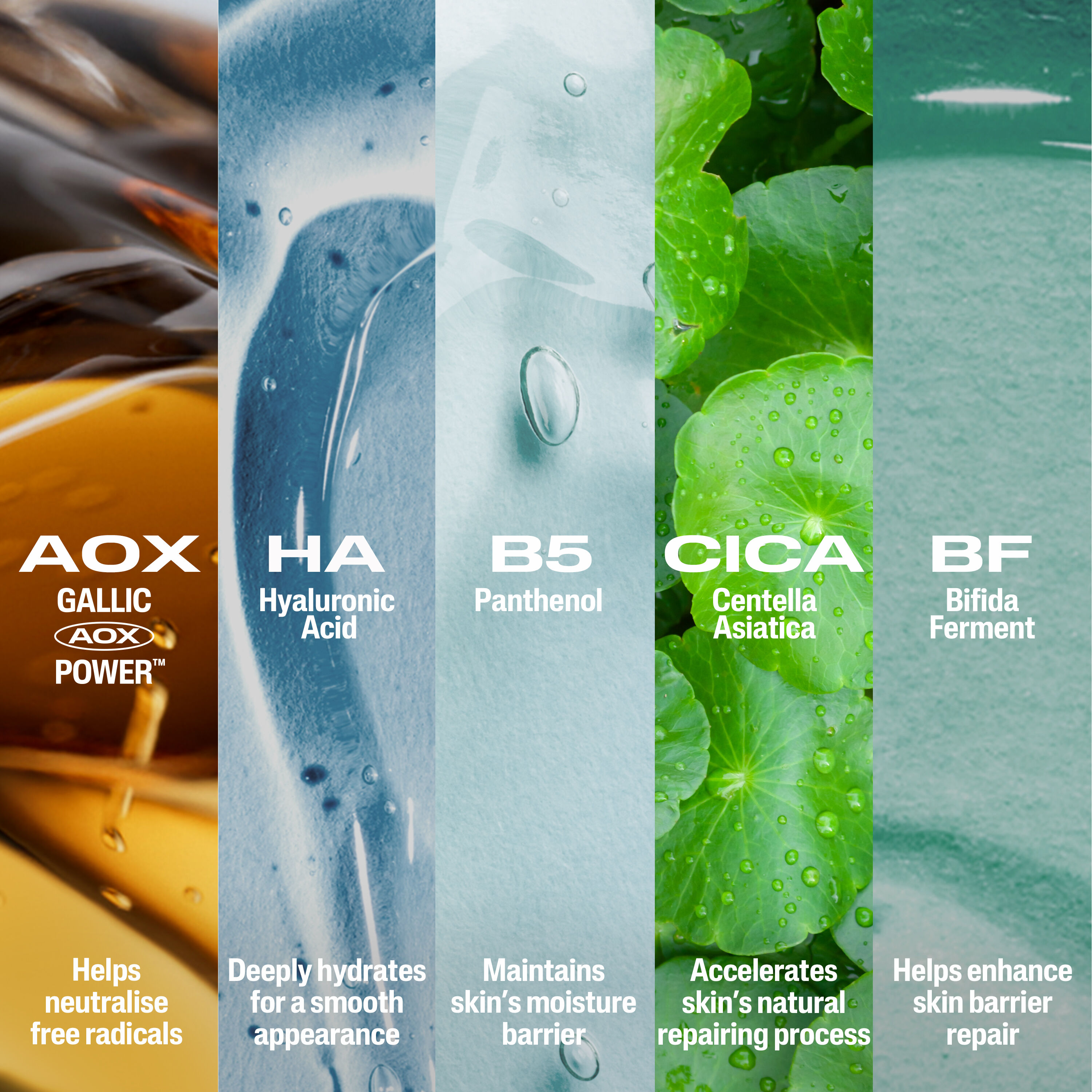 Cetaphil Repair & Renew Serum (PM) 30ml