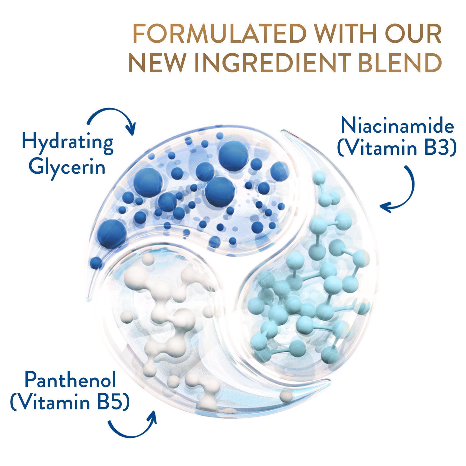 Daily Advance Moisturising Lotion