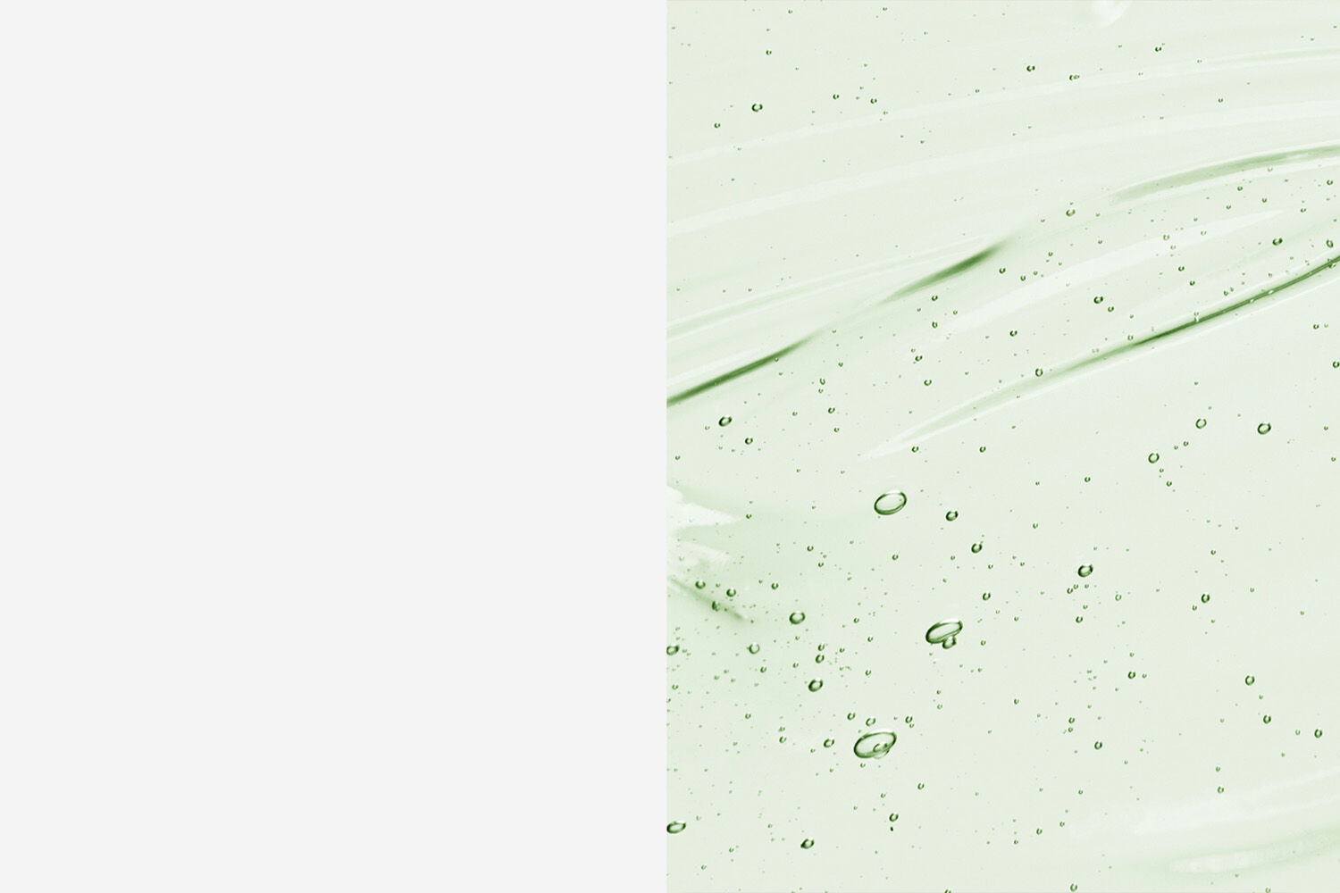 Plp-Banner