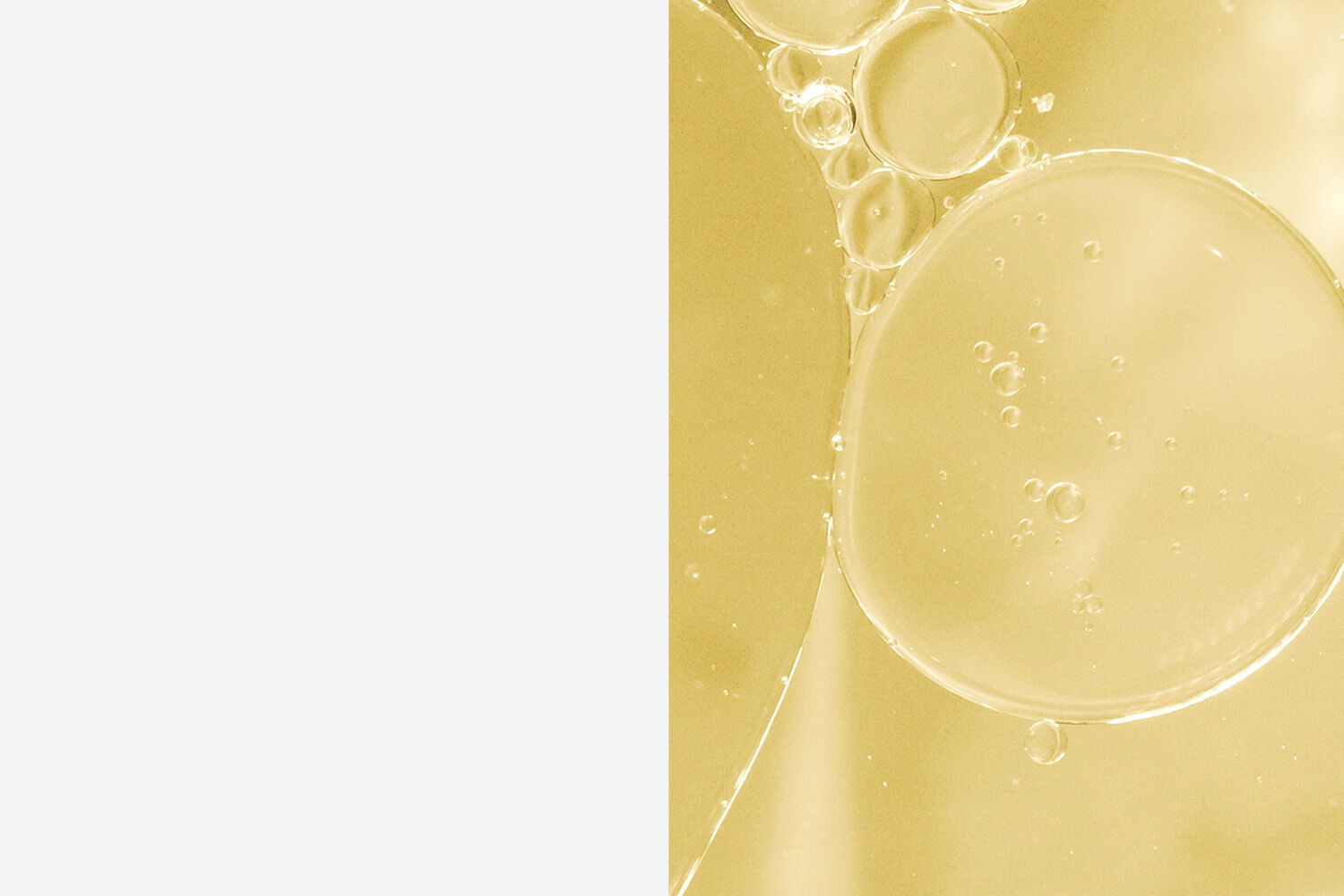 Plp-Banner