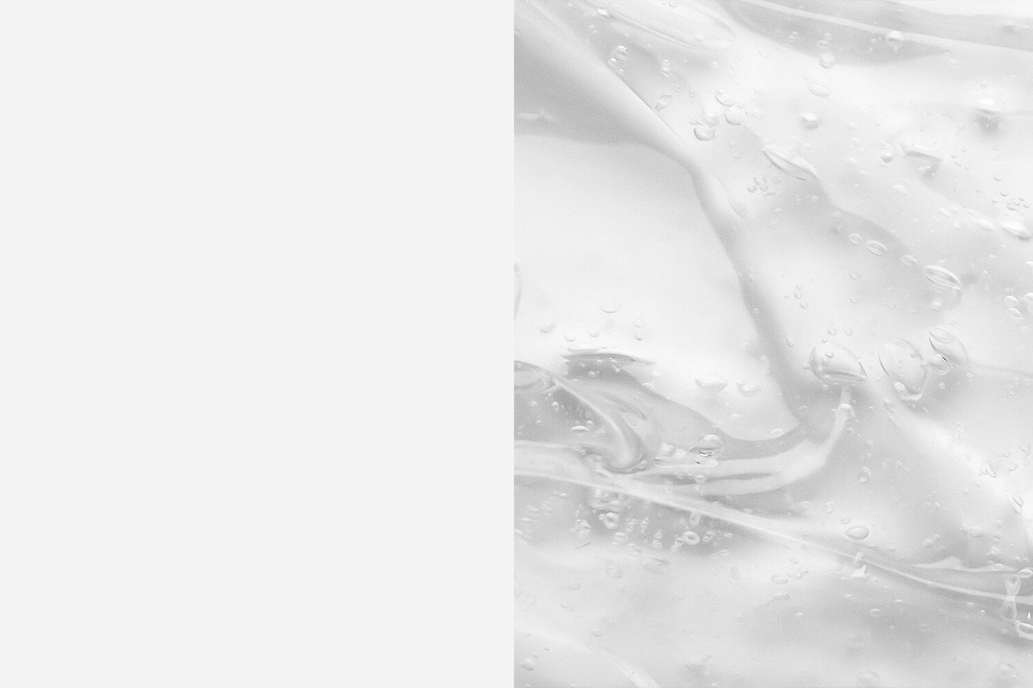 Plp-Banner