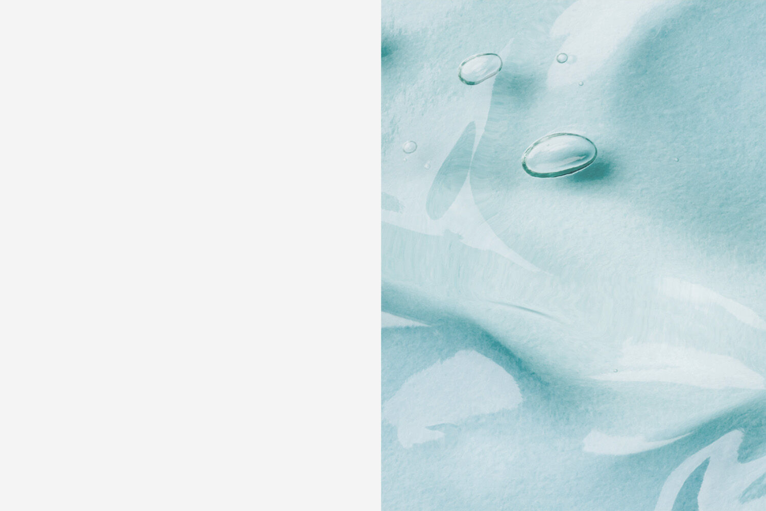 Plp-Banner