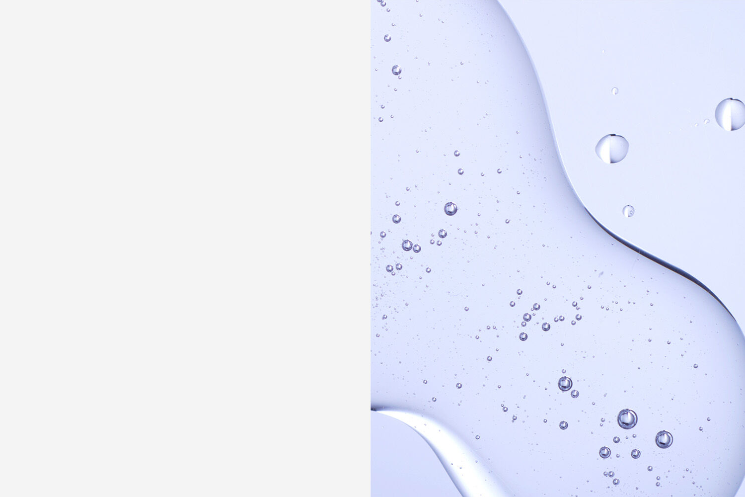 Plp-Banner