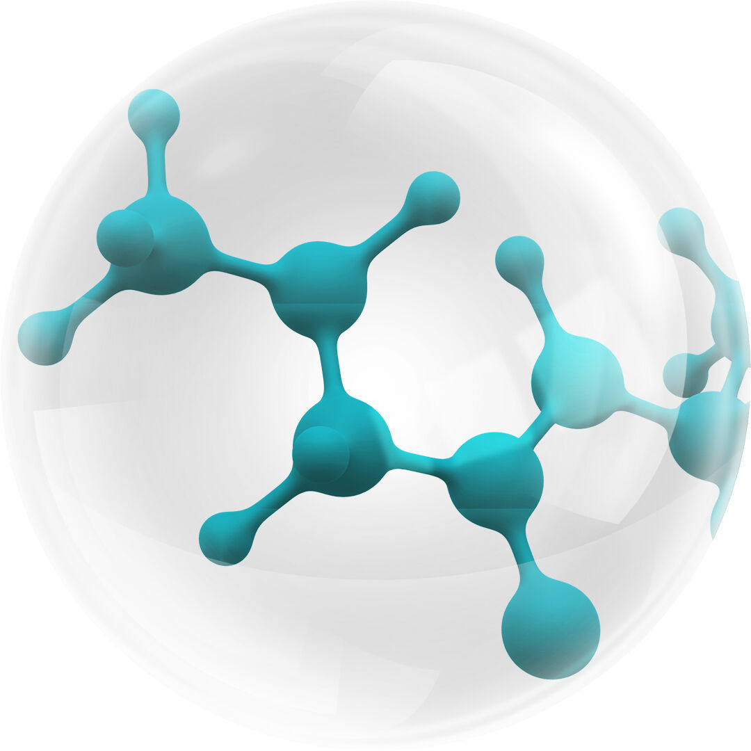 Ceramides.png