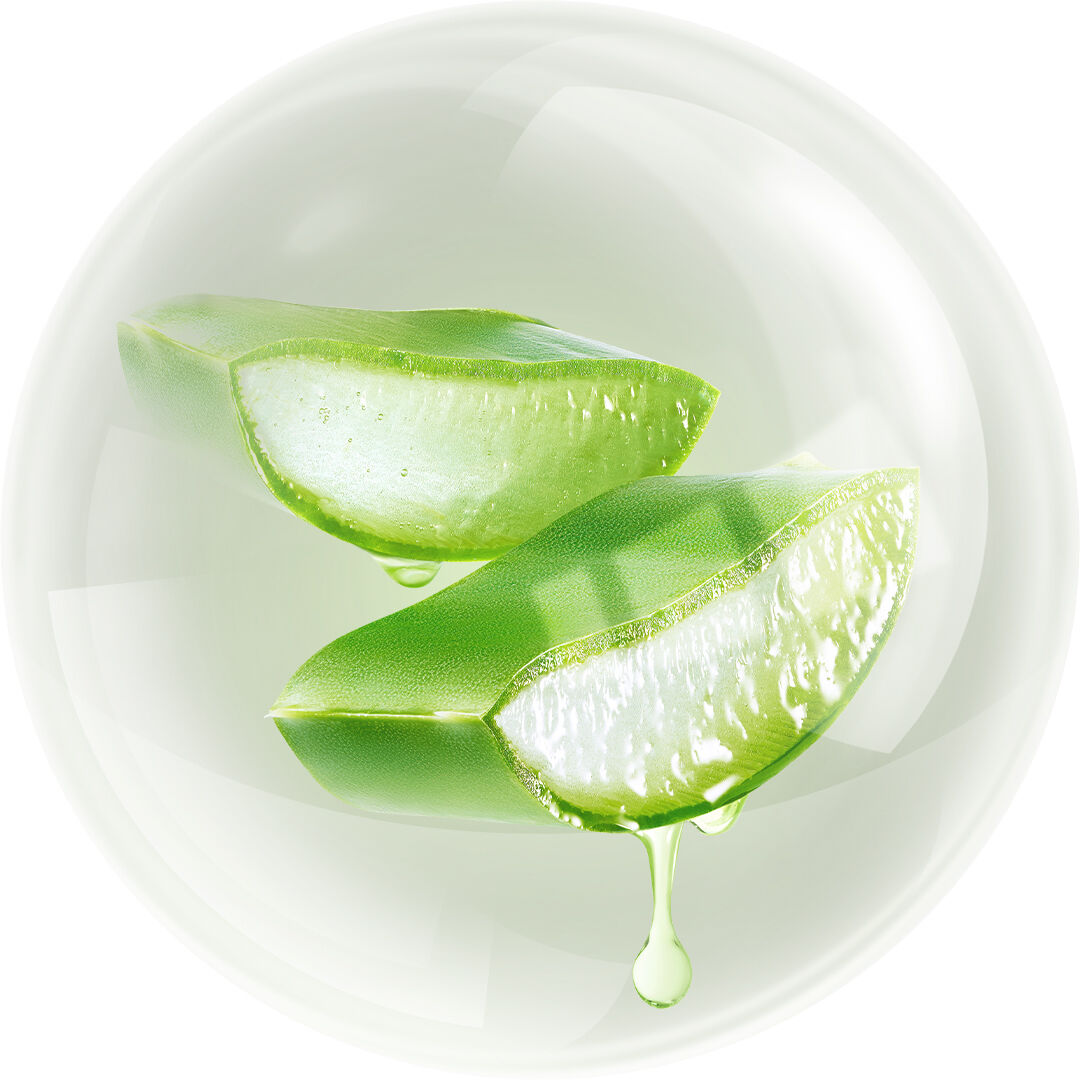 Aloe-Vera.png